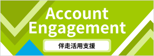 Account Engagement 伴走活用支援.png